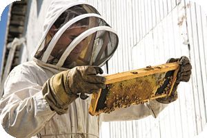 Broschüre Ausbildung MLR Stuttgart Broschüre Ausbildung MLR Stuttgart